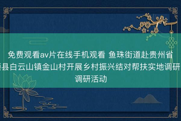 免费观看av片在线手机观看 鱼珠街道赴贵州省长顺县白云山镇金山村开展乡村振兴结对帮扶实地调研活动