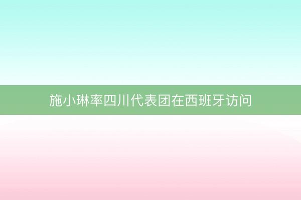 施小琳率四川代表团在西班牙访问