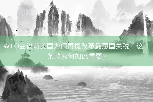 WTO会议前美国为何再提改革最惠国关税？这一条款为何如此重要？