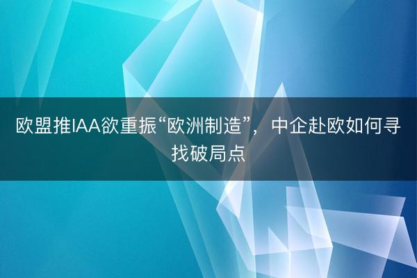 欧盟推IAA欲重振“欧洲制造”，中企赴欧如何寻找破局点