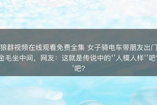 狼群视频在线观看免费全集 女子骑电车带朋友出门金毛坐中间，网友：这就是传说中的‘’人模人样‘’吧？