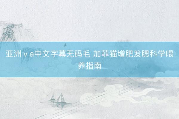 亚洲ⅴa中文字幕无码毛 加菲猫增肥发腮科学喂养指南