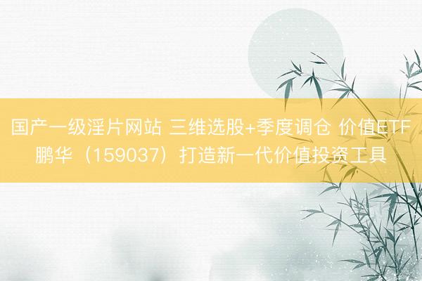 国产一级淫片网站 三维选股+季度调仓 价值ETF鹏华（159037）打造新一代价值投资工具