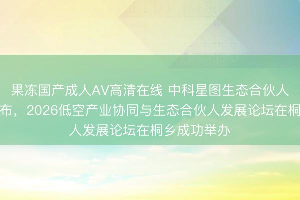 果冻国产成人AV高清在线 中科星图生态合伙人战略重磅发布，2026低空产业协同与生态合伙人发展论坛在桐乡成功举办