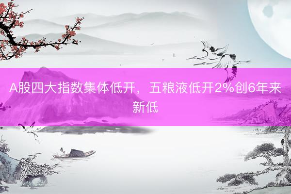 A股四大指数集体低开，五粮液低开2%创6年来新低