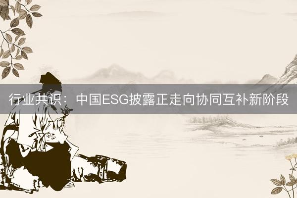 行业共识：中国ESG披露正走向协同互补新阶段