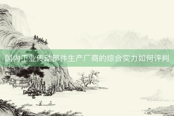 国内工业传动部件生产厂商的综合实力如何评判