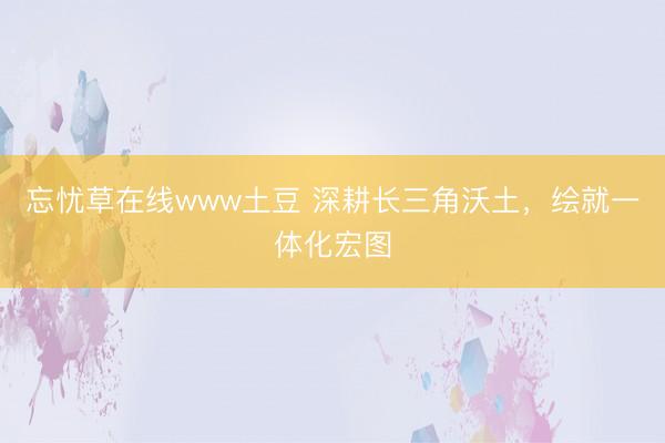忘忧草在线www土豆 深耕长三角沃土，绘就一体化宏图