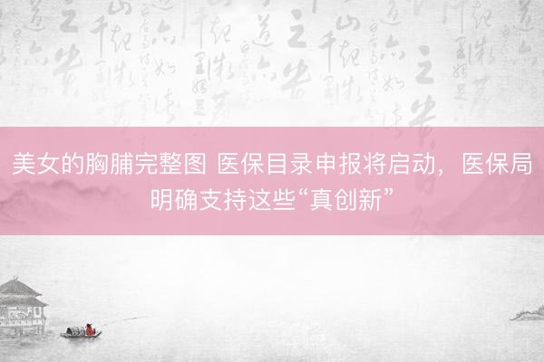 美女的胸脯完整图 医保目录申报将启动，医保局明确支持这些“真创新”