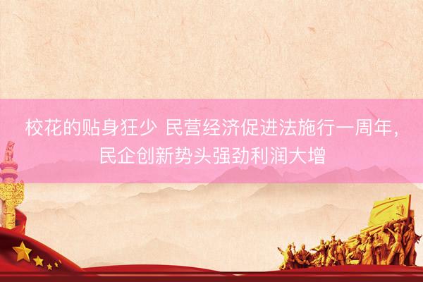校花的贴身狂少 民营经济促进法施行一周年，民企创新势头强劲利润大增