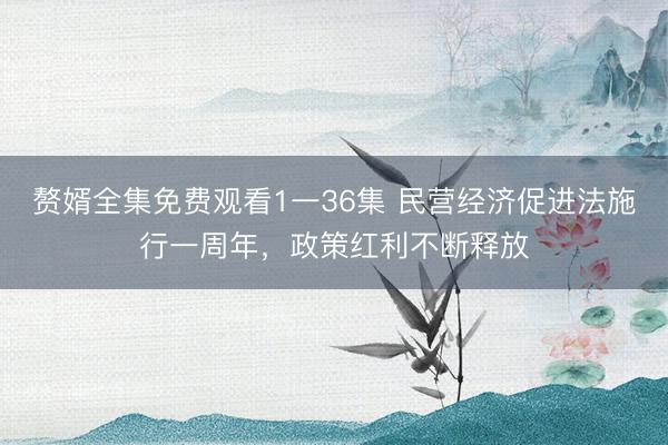 赘婿全集免费观看1一36集 民营经济促进法施行一周年，政策红利不断释放