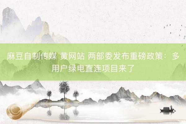 麻豆自制传媒 黄网站 两部委发布重磅政策：多用户绿电直连项目来了