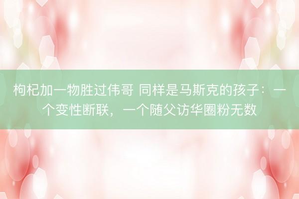 枸杞加一物胜过伟哥 同样是马斯克的孩子：一个变性断联，一个随父访华圈粉无数