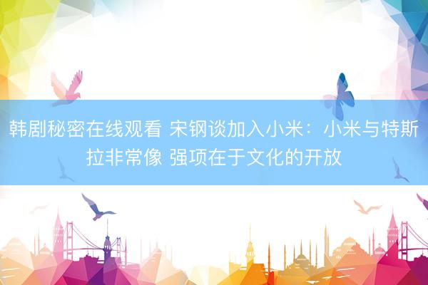 韩剧秘密在线观看 宋钢谈加入小米：小米与特斯拉非常像 强项在于文化的开放