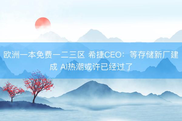 欧洲一本免费一二三区 希捷CEO：等存储新厂建成 AI热潮或许已经过了