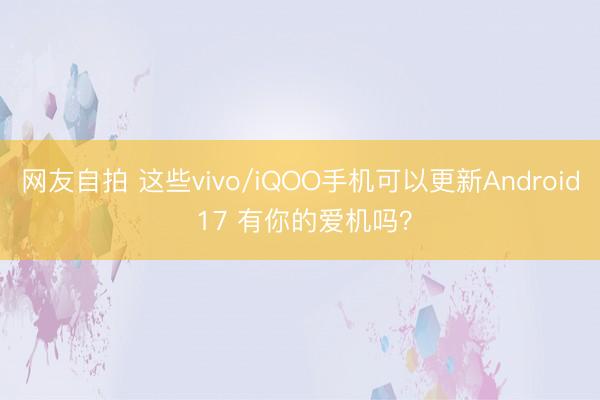网友自拍 这些vivo/iQOO手机可以更新Android 17 有你的爱机吗？