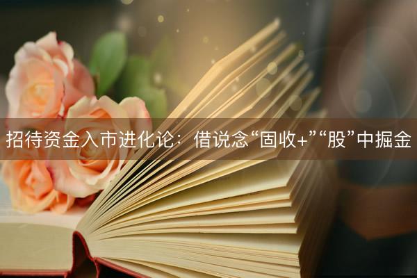 招待资金入市进化论：借说念“固收+”“股”中掘金