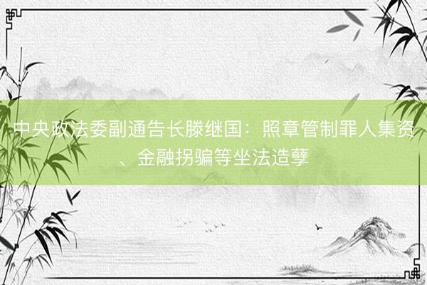 中央政法委副通告长滕继国：照章管制罪人集资、金融拐骗等坐法造孽