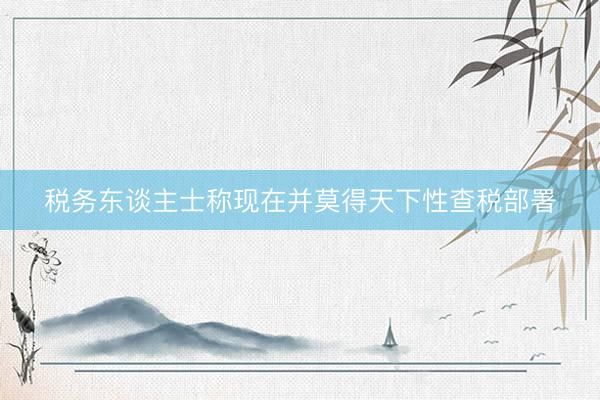 税务东谈主士称现在并莫得天下性查税部署