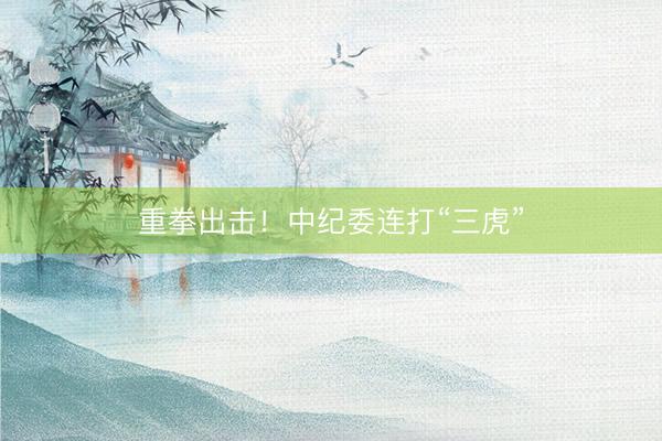 重拳出击！中纪委连打“三虎”
