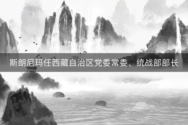 斯朗尼玛任西藏自治区党委常委、统战部部长
