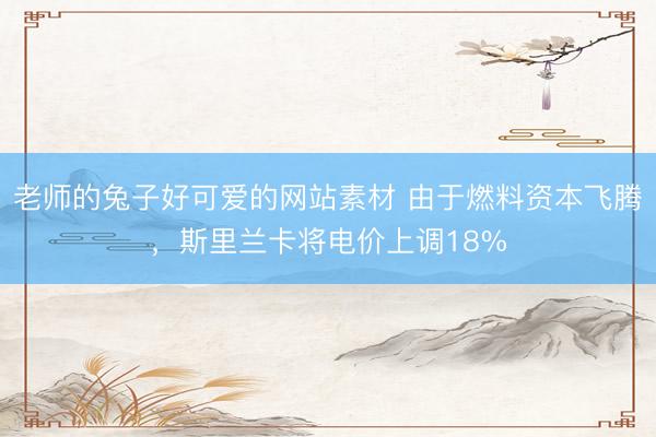 老师的兔子好可爱的网站素材 由于燃料资本飞腾，斯里兰卡将电价上调18%