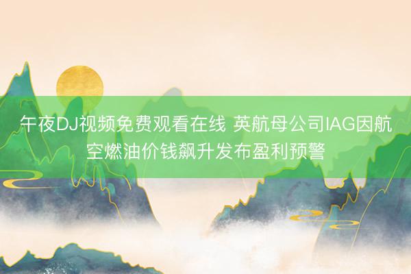 午夜DJ视频免费观看在线 英航母公司IAG因航空燃油价钱飙升发布盈利预警