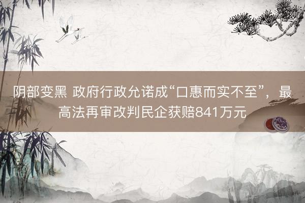 阴部变黑 政府行政允诺成“口惠而实不至”，最高法再审改判民企获赔841万元