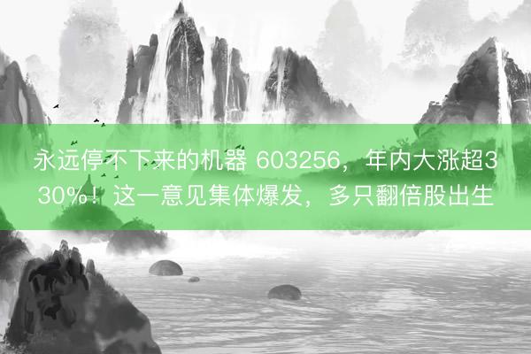 永远停不下来的机器 603256，年内大涨超330%！这一意见集体爆发，多只翻倍股出生