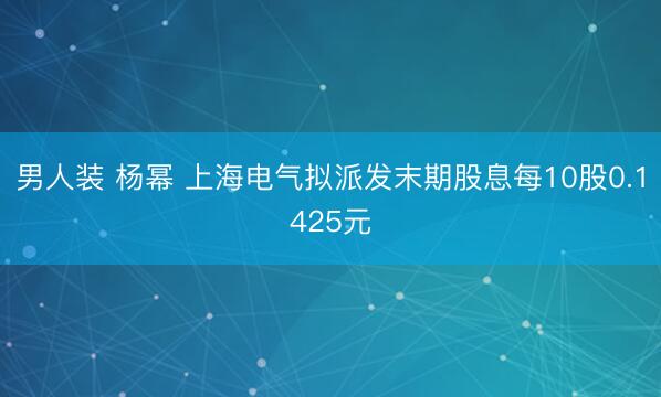 男人装 杨幂 上海电气拟派发末期股息每10股0.1425元
