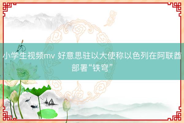 小学生视频mv 好意思驻以大使称以色列在阿联酋部署“铁穹”