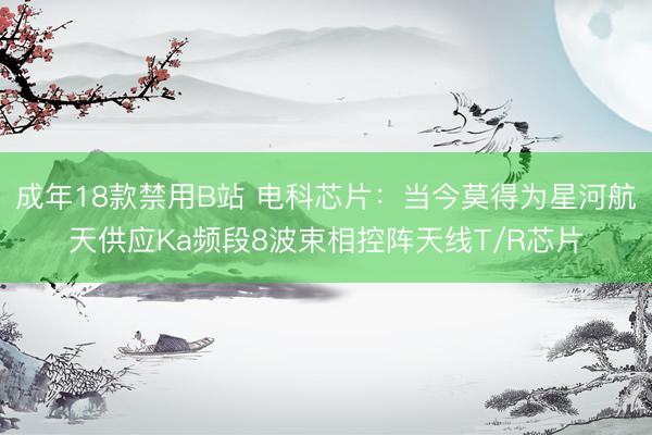 成年18款禁用B站 电科芯片：当今莫得为星河航天供应Ka频段8波束相控阵天线T/R芯片