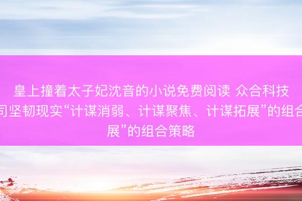 皇上撞着太子妃沈音的小说免费阅读 众合科技:公司坚韧现实“计谋消弱、计谋聚焦、计谋拓展”的组合策略