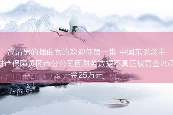高清男的插曲女的欢迎你第一集 中国东说念主民财产保障黄冈市分公司因财务数据不真正被罚金25万元