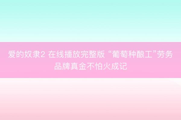 爱的奴隶2 在线播放完整版 “葡萄种酿工”劳务品牌真金不怕火成记