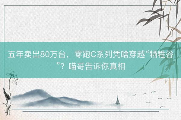 五年卖出80万台，零跑C系列凭啥穿越“牺牲谷”？喵哥告诉你真相