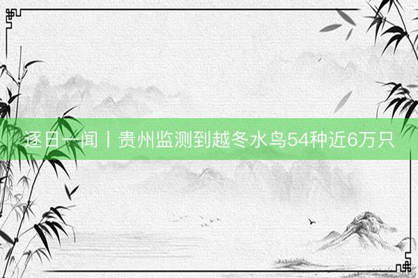 逐日一闻丨贵州监测到越冬水鸟54种近6万只